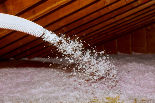 Best Energy Efficiency Solutions in South Bay, FL